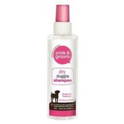 Pride & Groom Dry Shampoo Spray 200ml - PACK (12)