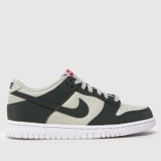 Nike stone multi dunk low Youth trainers