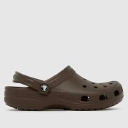 Crocs classic clog sandals in dark brown