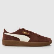 PUMA palermo trainers in brown & white